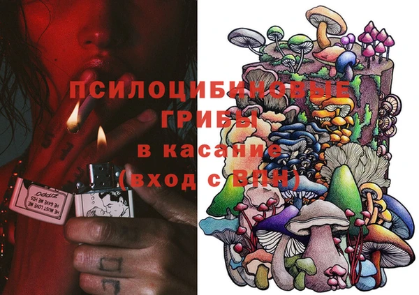 spice Галич